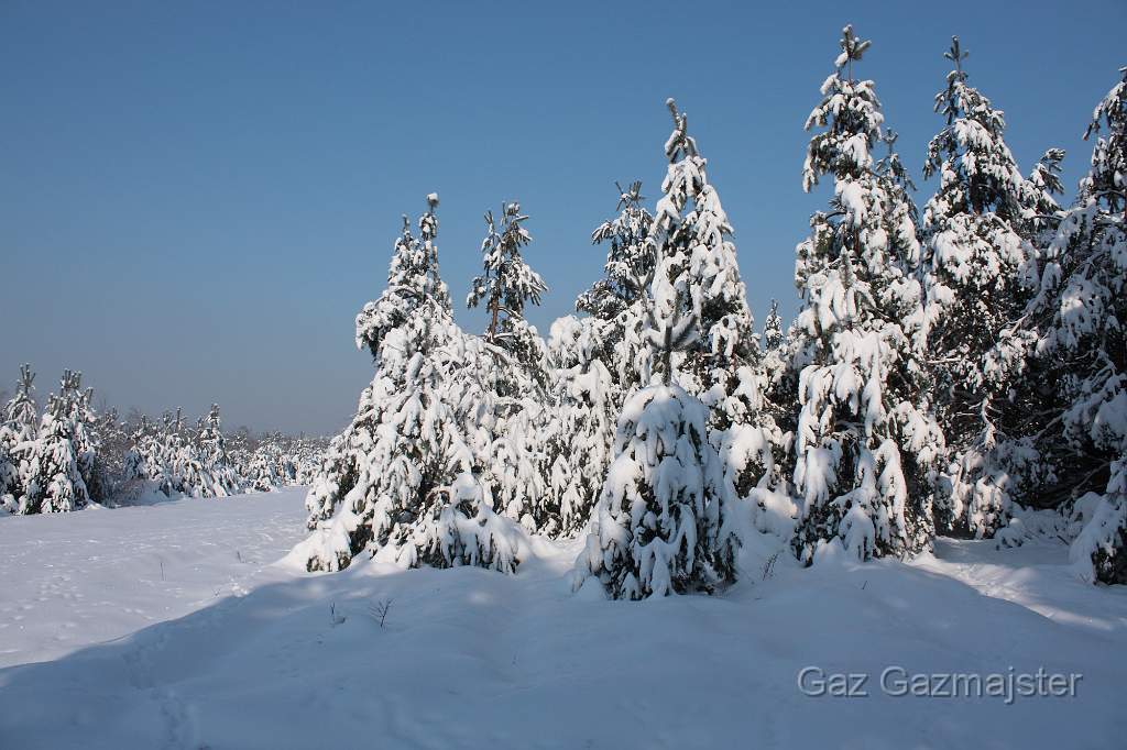IMG_0021.JPG - Winter