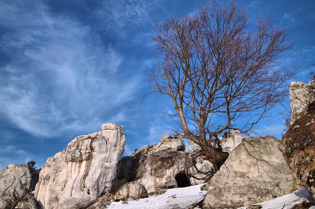 IMG_0023winter.jpg - In Mountain Zborow