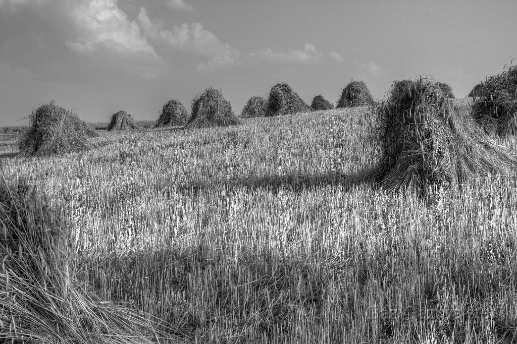 IMG_0041_tonemapped.jpg - A summer day