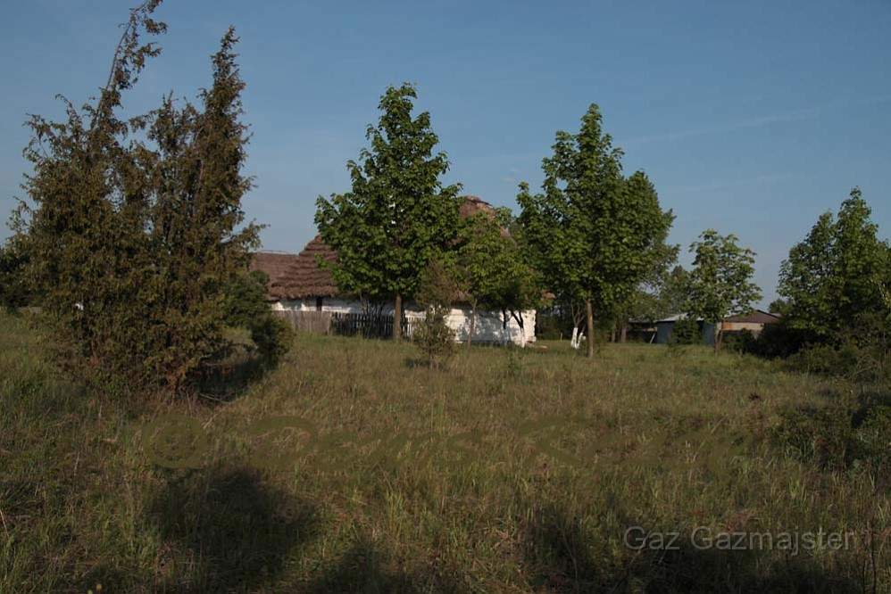 IMG_0130.JPG - A house