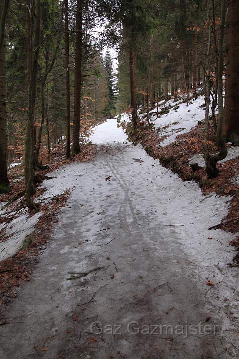 z71.JPG