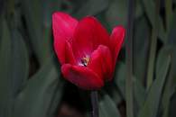 DSCF0224