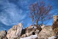 IMG_0023winter