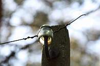 IMG_0083