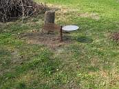 IMG_grilll