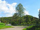 MnikowskaValley