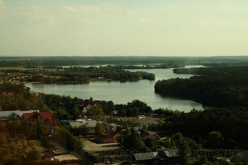 2.jpg - From Lichen
