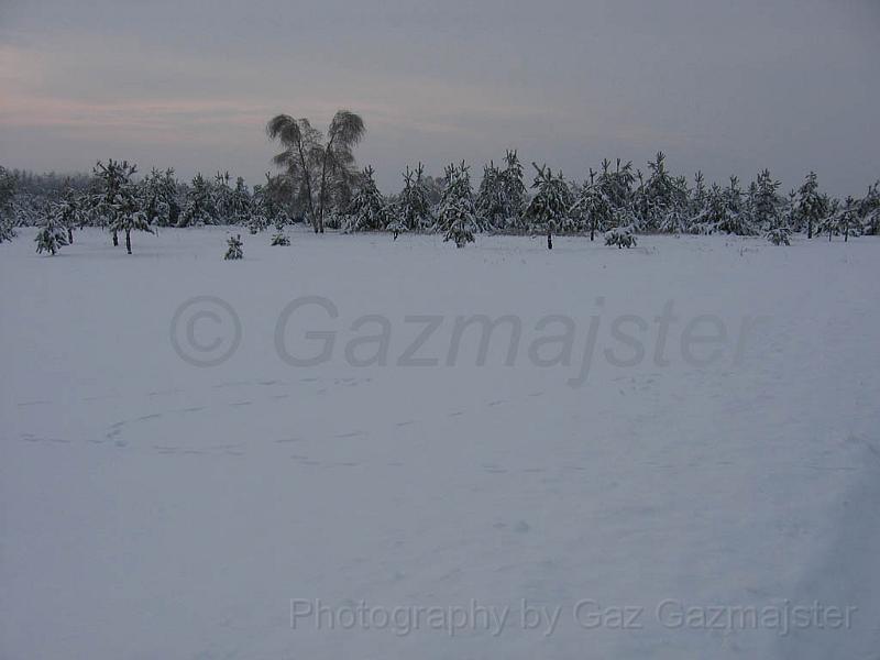 d201017.JPG - The two