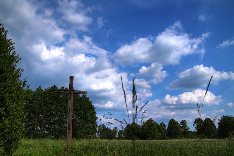 krzyrzMTX.jpg - Summer 2011