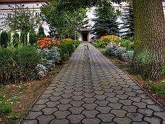 Dlainteri