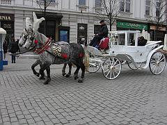 IMG_0009
