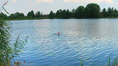 IMG_00130110