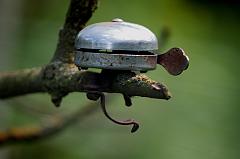 IMG_0022
