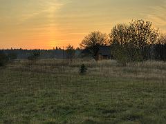dabek