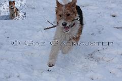 milou