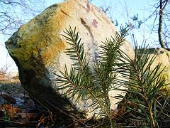 skala