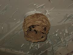 IMG_0002