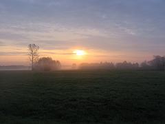 IMG_0011